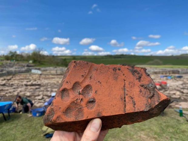 The Northern Echo: A dog must have run across a row of tiles drying in the sun at Vindolanda, and its print was preserved forever. It was found in 2015 and goes with the 6,000 leather shoes - for humans - which have been found at Vindolanda. Pciture: P Trichler